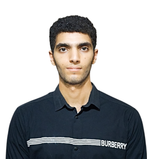 Mohamed Rashed-Freelancer in ,Egypt