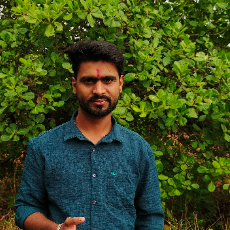 Nilesh Gurav-Freelancer in Belgaum,India