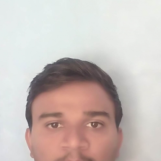 Hardik Shankla-Freelancer in ,India