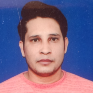 Naveen Chand-Freelancer in Delhi,India