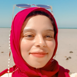 Alaa Mohamed-Freelancer in Qena,Egypt