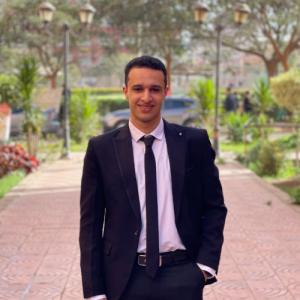 Ahmed Ebaid-Freelancer in Menoufia,Egypt