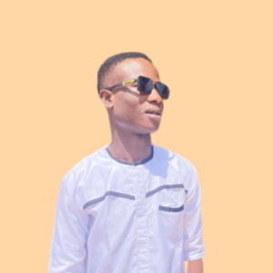 Abraham Steve-Freelancer in Holyoke,Unites States Minor Outlying Islands