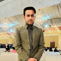 Ameer Hamza-Freelancer in Gujranwala,Pakistan