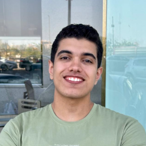 Amr Alaraby-Freelancer in Cairo,Egypt