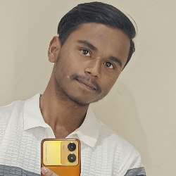 Sourav Kumar-Freelancer in Bokaro,India