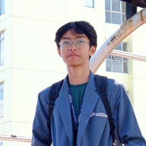 Muhammad Hilmi Rajwandhika-Freelancer in ,Indonesia