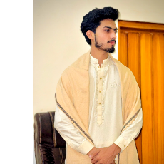 Syed Ali Hassan Shah-Freelancer in Chak 253 RB Islam Nagri,Pakistan