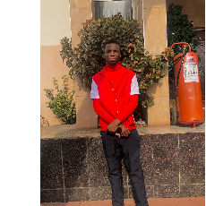 Chinecherem Ezeani-Freelancer in Obosi,Nigeria