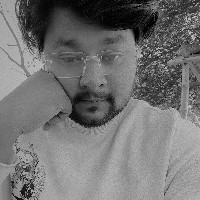 Faizan Raza-Freelancer in siwan,India