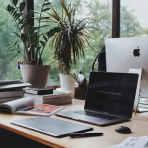 MST REHANA-Freelancer in Kishoreganj,Bangladesh