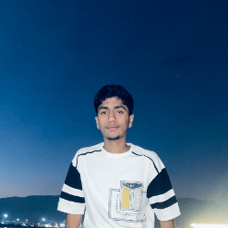 Hamidraza Bloch-Freelancer in Dhrol,India