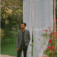 Pradeep Choudhary-Freelancer in Noida,India