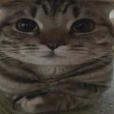 June Khell-Freelancer in Manila,Philippines