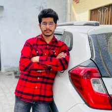 Nitish Kumar-Freelancer in Jalandhar,India