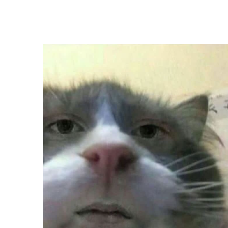 Gabriela Gorzynska-Freelancer in Piaseczno,Poland