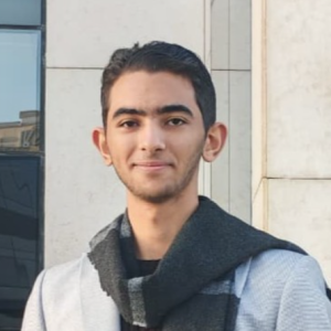 Omar-Freelancer in Giza,Egypt