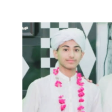 Hafiz Husnain Ali-Freelancer in Sialkot,Pakistan