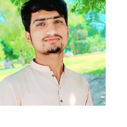 Anas-Freelancer in Multan,Pakistan