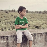 Paras wankhade-Freelancer in Achalpur,India