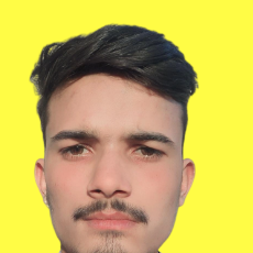 Shourya Sharma-Freelancer in Joura,India
