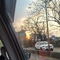 Shweta Tribhuwan-Freelancer in Pune Division,India