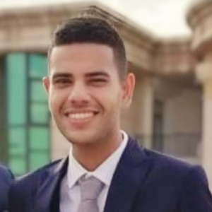 Youssef Taymour-Freelancer in Sheikh Zayed City,Egypt