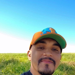 Alcides Junior-Freelancer in ,Brazil