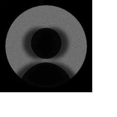 Raizen Sese Tiamson-Freelancer in Taguig City,Philippines