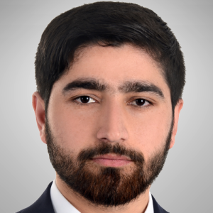 Wahid Ahmad Firoozi-Freelancer in Herat,Afghanistan