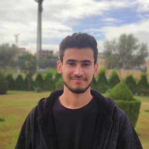 Ahmed Mostafa-Freelancer in Cairo,Egypt