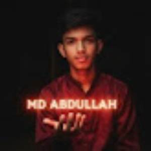 Abdullah Qadir-Freelancer in Karachi,Pakistan