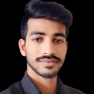 Dwarakacherla Ramesh Reddy-Freelancer in Krishnan Kovil,India