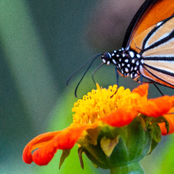 Dhruv Patel-Freelancer in Ahmedabad,India