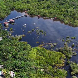 Angga Arya Pradana-Freelancer in Jakarta,Indonesia