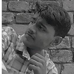 Tanzeel Naiyar-Freelancer in Bihar Sharif,India