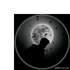 Natan Mengistu-Freelancer in Wolaita sodo,Ethiopia