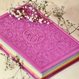 Chani Rajput-Freelancer in Pākpattan,Pakistan