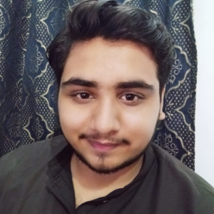 Muhammad Mehar-Freelancer in Lahore,Pakistan