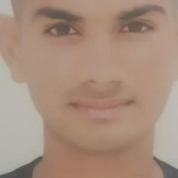 Sahil Swami-Freelancer in PUNDRI,India