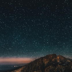 Priyesh kumar-Freelancer in Tola Sono,India