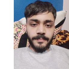 Shreyansh Tripathi-Freelancer in Sudanipur Kala,India