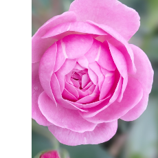 Shekainah Aegobi-Freelancer in Port Moresby,Papua New Guinea