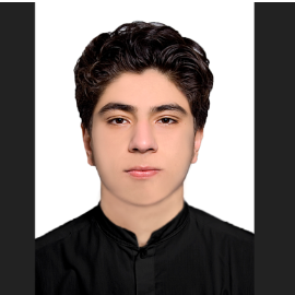 Hamid Reza Naseri-Freelancer in Herat,Afghanistan