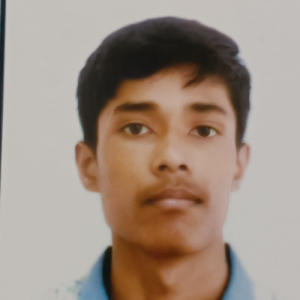 Himanshu Kumar-Freelancer in Delhi,India