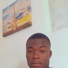 Zana Armand Kone-Freelancer in Abidjan,Cote d'Ivoire