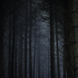 Arhan Khan-Freelancer in Guwahati,India