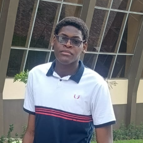 Harrison John-Freelancer in Lekki,Nigeria