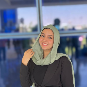 منه ابوالعلا-Freelancer in ,Egypt