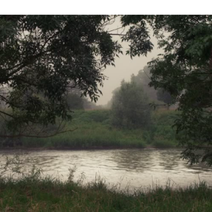 Seo Ari-Freelancer in Bahawalpur,Pakistan